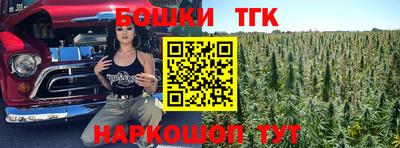 spice Кинель