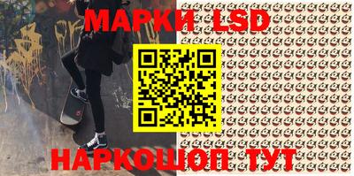 индика Кингисепп