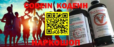 МДПВ Камышлов