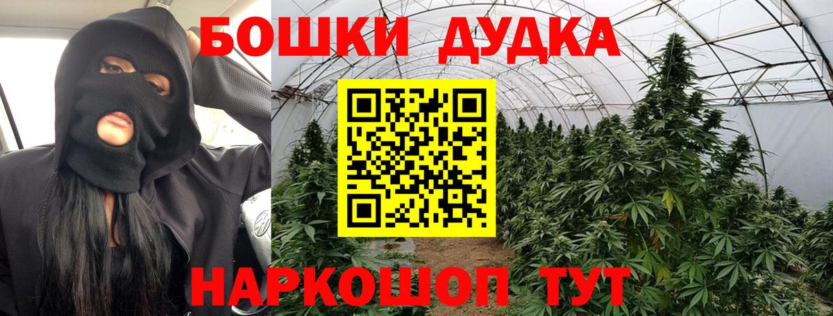 Конопля конопля Тельмана